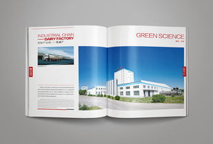 凝练品牌精髓，彰显卓越风范——洛娃集团画册整合设计与企业形象策划