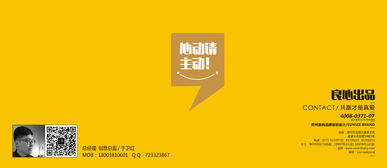 梨妃设计 郑州品牌设计领域的创意先锋与解决方案专家